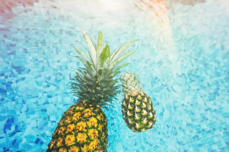 Mantenimiento de piscinas guía completa.